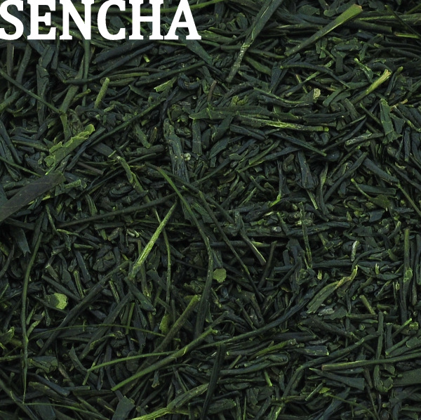 Fukamushi Sencha(Deep steamed green tea) healthy green powder leaves inside