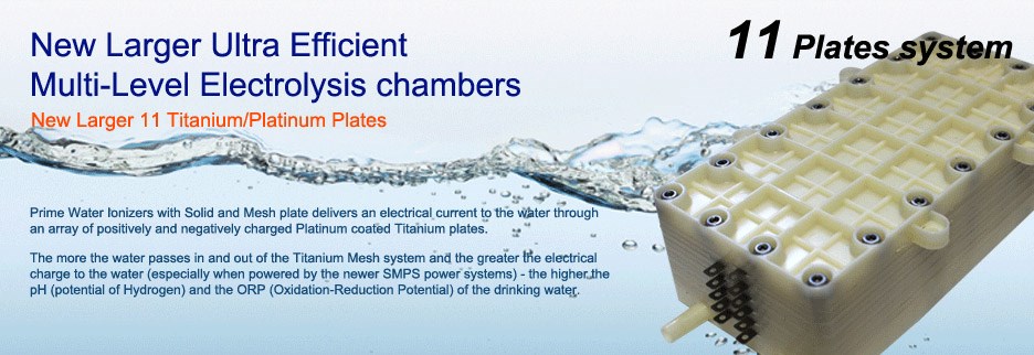 LC11 watercell.jpg