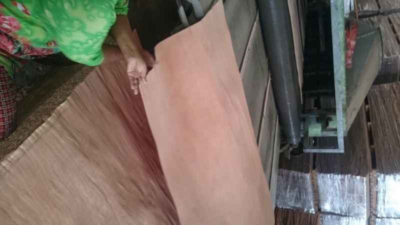 Keruingベニヤからラオス 問屋・仕入れ・卸・卸売り