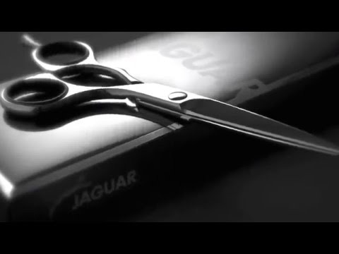 jagua3.jpg