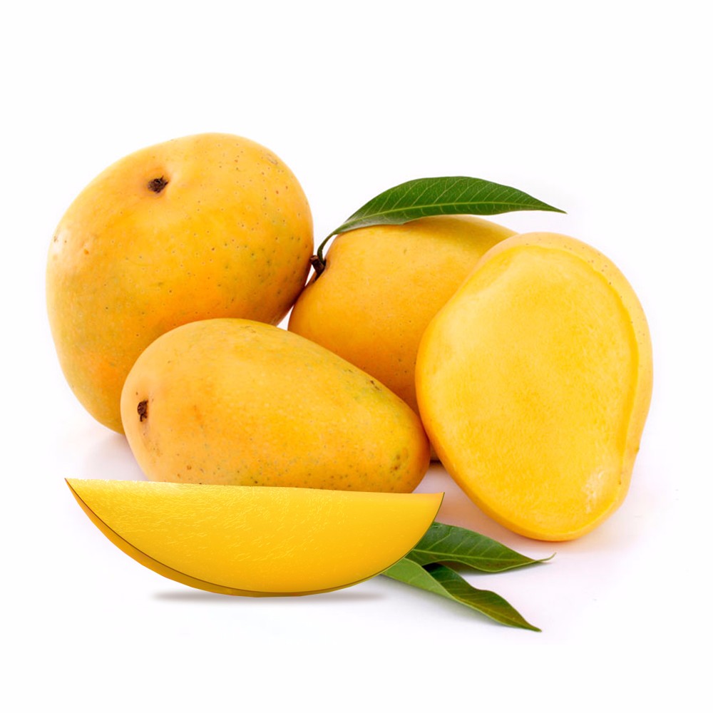 Hot Sale High Quality Fresh Mango Buyers Buy Fresh Mango,Indian