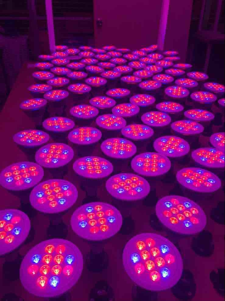 フルスペクトラムled成長ライト12ワットe27 led電球用の花植物水耕栽培システム交流85ボルト -265ボルトグローボックス仕入れ・メーカー・工場