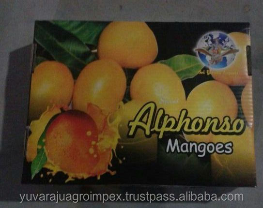 Fresh Alphonso Mangoes