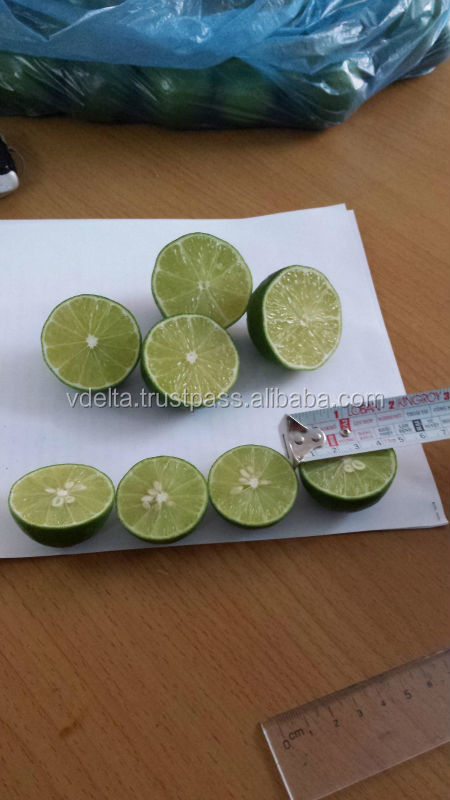 Fresh Green Lemon - citrus fruit