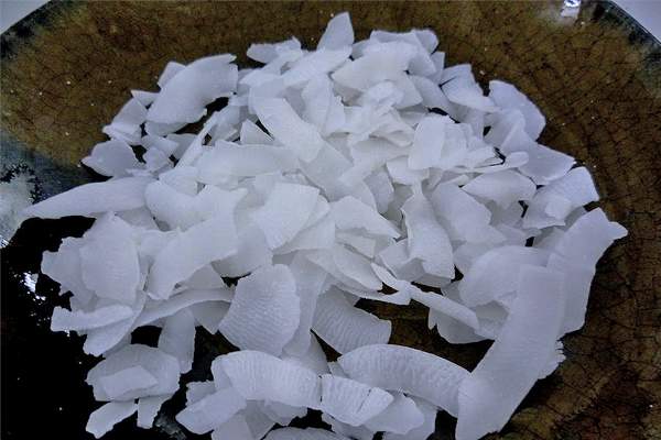 DESICCATED COCONUT CHIPS OR THREAD