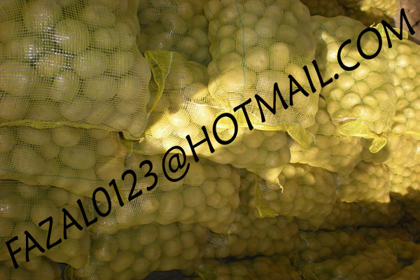 FRESH POTATO FROM EXPORT TRADE ASSOCIATE (13).jpg