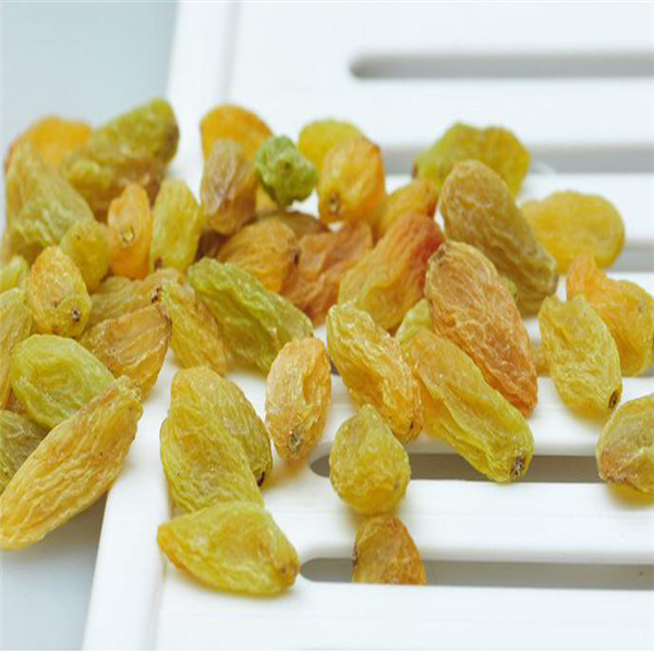 TTN 2014 ALL TYPES OF DRIED GOLDEN RAISINS PRICE FOR IMPORTERS