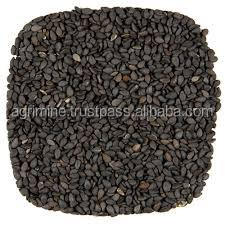 SEASAME SEED8.jpg