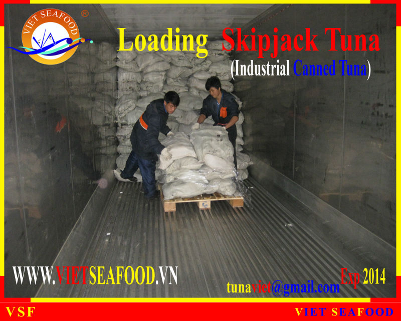 LOADING FROZEN SKIPJACK TUNA W/R