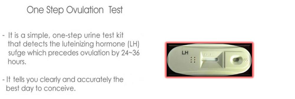 ovulation test kit detail.jpg
