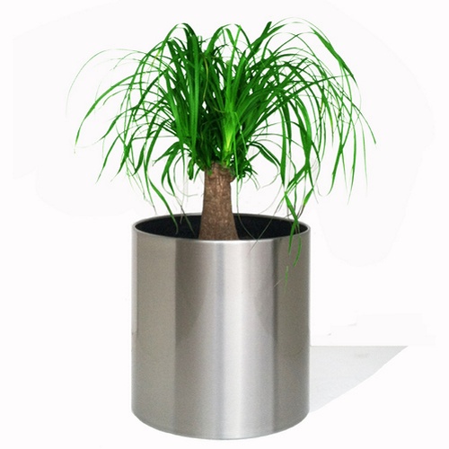 ステンレス鋼の植木鉢/庭のプランター、 ラウンド形状のフラワーポット問屋・仕入れ・卸・卸売り