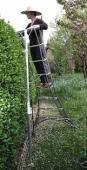 オリーブの収穫のツール長谷川三脚アルミラダー日本製高品質のはしご鋳鉄ガーデンベンチ問屋・仕入れ・卸・卸売り