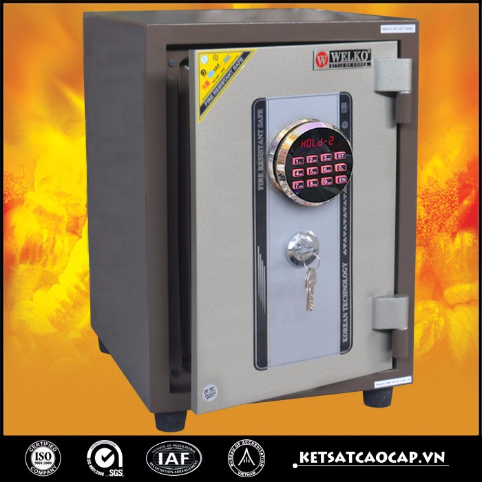 80D Dien Tu Gold 3.jpg