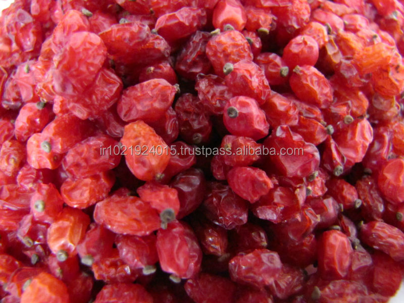 Top quality Dried barberry in Bulk