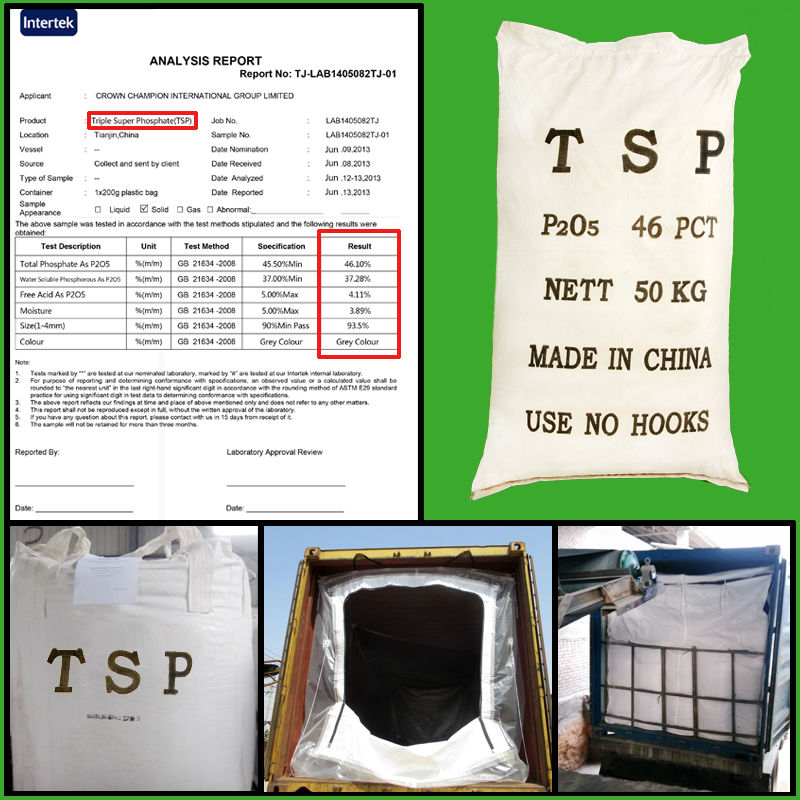 TSP Granular for fertilizer