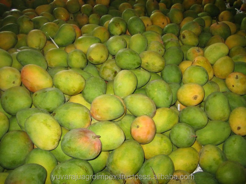 Fresh Alphonso Mangoes
