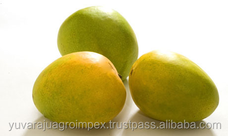 Fresh Alphonso Mangoes