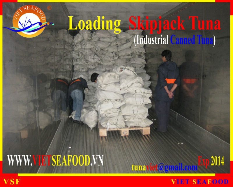 LOADING FROZEN SKIPJACK TUNA