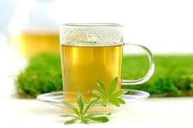 Vietnam good quality green tea OP