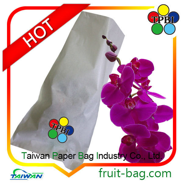 成長しているアボカドバッグ台湾が成長するための紙製の袋仕入れ・メーカー・工場