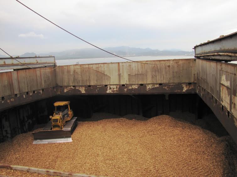 ACACIA WOOD CHIPS FOR MAKING PAPER PULP, MDF CAPACITY 60,000BDMT問屋・仕入れ・卸・卸売り
