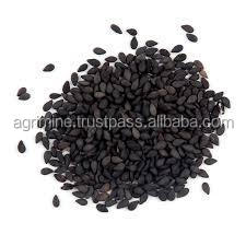 SEASAME SEED3.jpeg