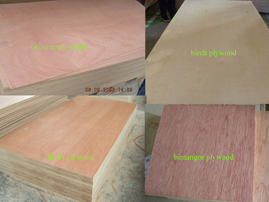 ユーカリ合板/ユーカリの木材/ユーカリベニヤ/広葉樹 問屋・仕入れ・卸・卸売り