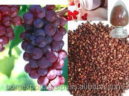 ブドウ種子油( oem/odm)/100%純粋な天然グレープ シード エッセンシャルオイル (vitis vinifera) 問屋・仕入れ・卸・卸売り