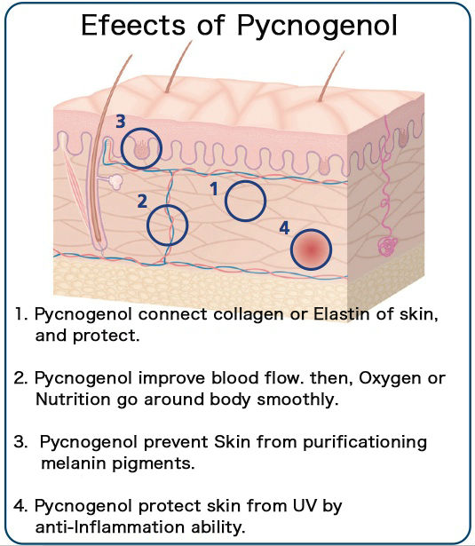 Easy to use and Japanese beauty collagen product with high performance made in Japan