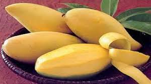 Fresh Mango: High Quality and Competitive Price