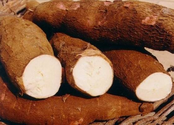 VIETNAM TAPIOCA STARCH/ CASSAVA STARCH FOR FOOD GRADE