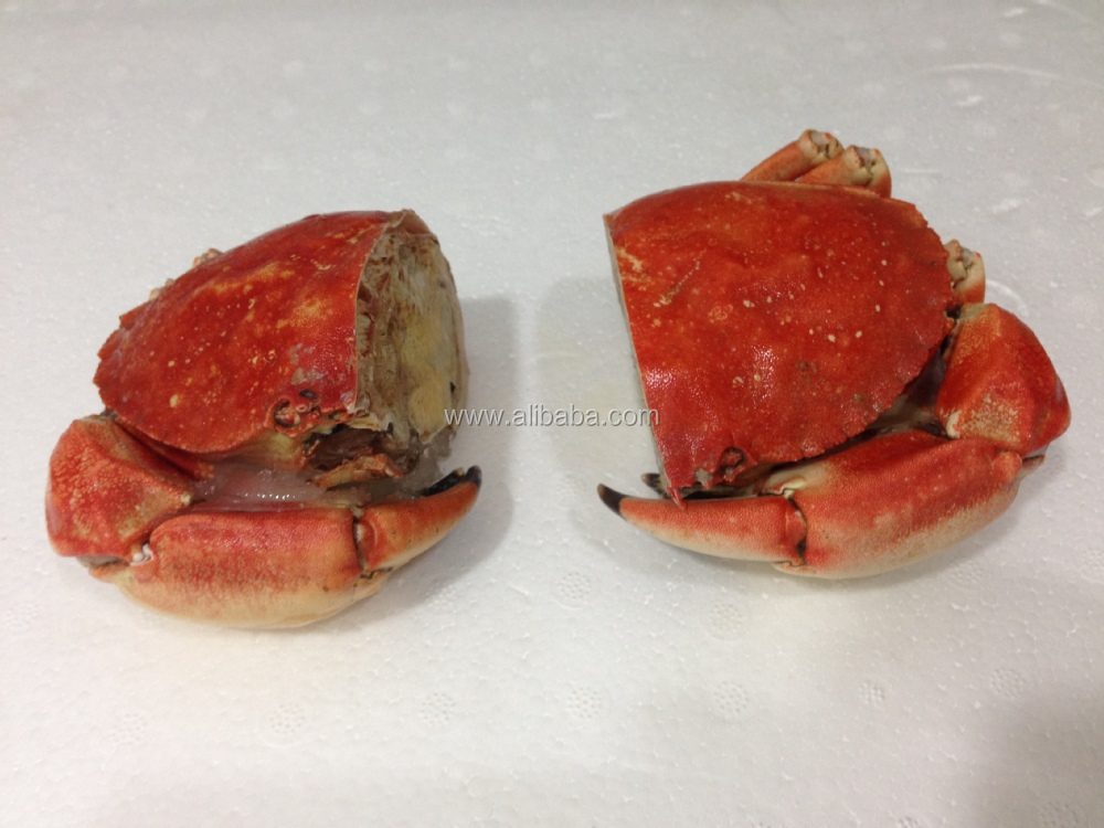Stone Crab Saw.JPG