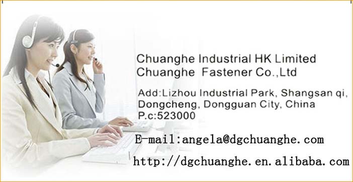 ステンレス鋼製の安全ドアchuangheカスタム五孔付ヒンジ仕入れ・メーカー・工場
