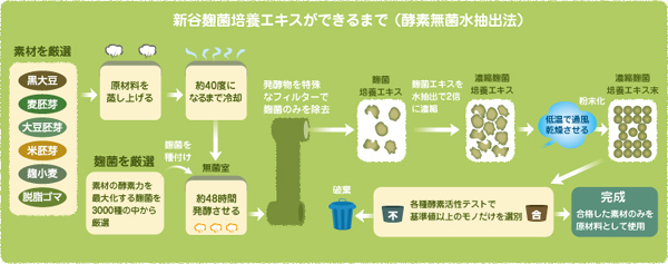 SHINYA Enzyme Standard Slimming Diet Supplement Made in Japan High Qaulity and Safety