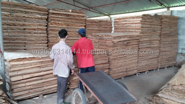 100％グレードユーカリのコア単板起源するために、 ベトナムのトルコ市場問屋・仕入れ・卸・卸売り