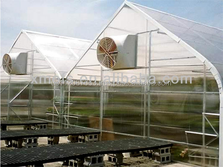 繊維ガラス温室/産業空気循環送風ファン20年保証仕入れ・メーカー・工場