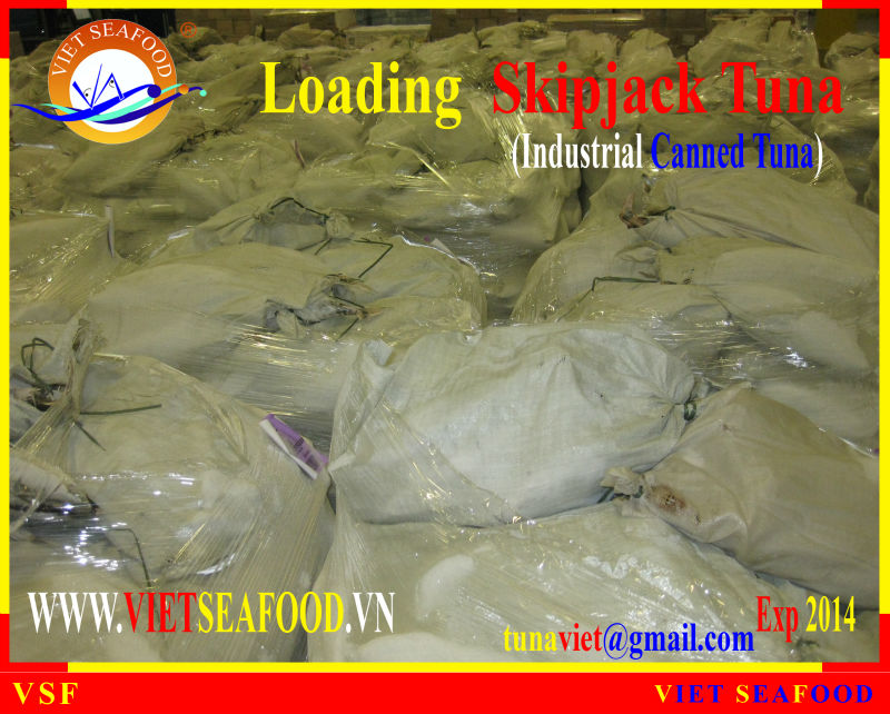 LOADING FROZEN SKIPJACK TUNA W/R