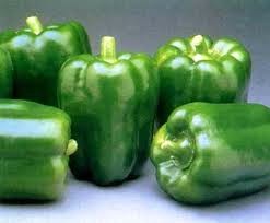 capsicum2.jpg