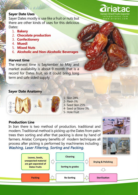Sayer Dates (Sair) Fresh Date (((NEW HARVEST)))