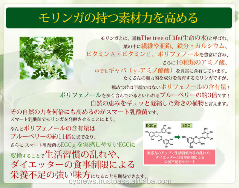 モリンガ形状- 日本が作った新しい2014年ダイエットサプリメント、 発酵ハーブ問屋・仕入れ・卸・卸売り