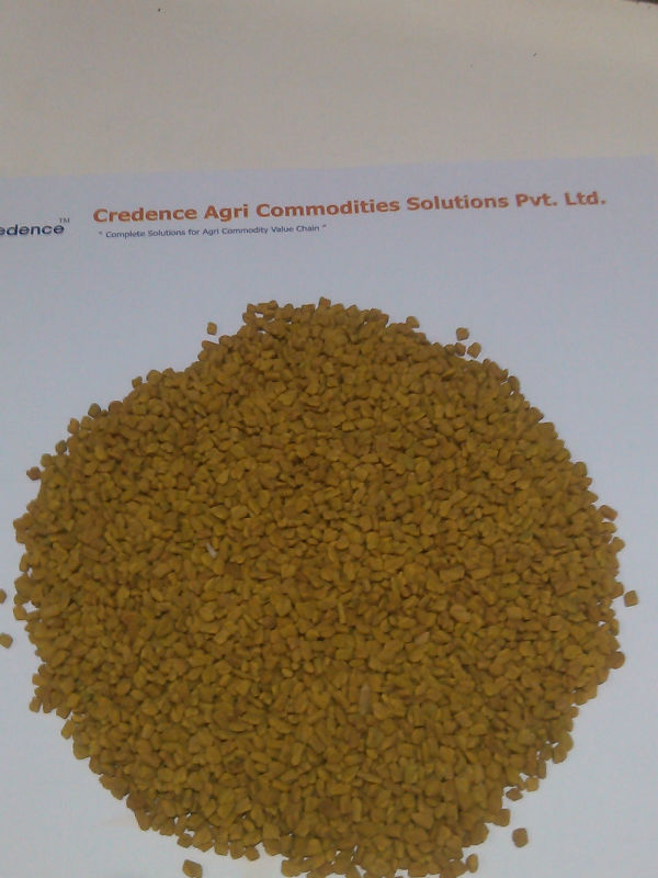 Exporter of fenugreek