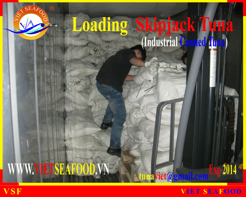 LOADING FROZEN SKIPJACK TUNA W/R
