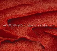 TOMATO PASTE PROCESSING PLANT