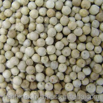 Vietnam White Pepper For Importers