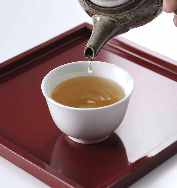 hojicha_intro4