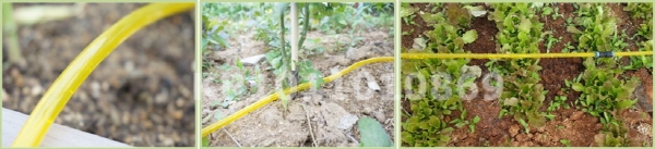 drip irrigation system.jpg