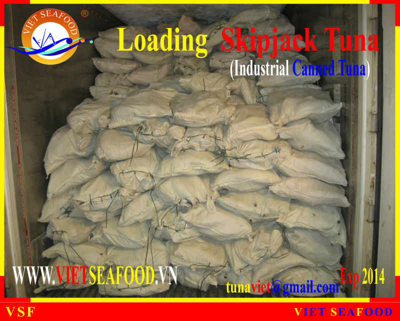 LOADING FROZEN SKIPJACK TUNA W/R