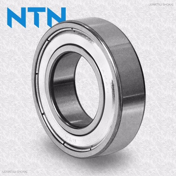 NTN05