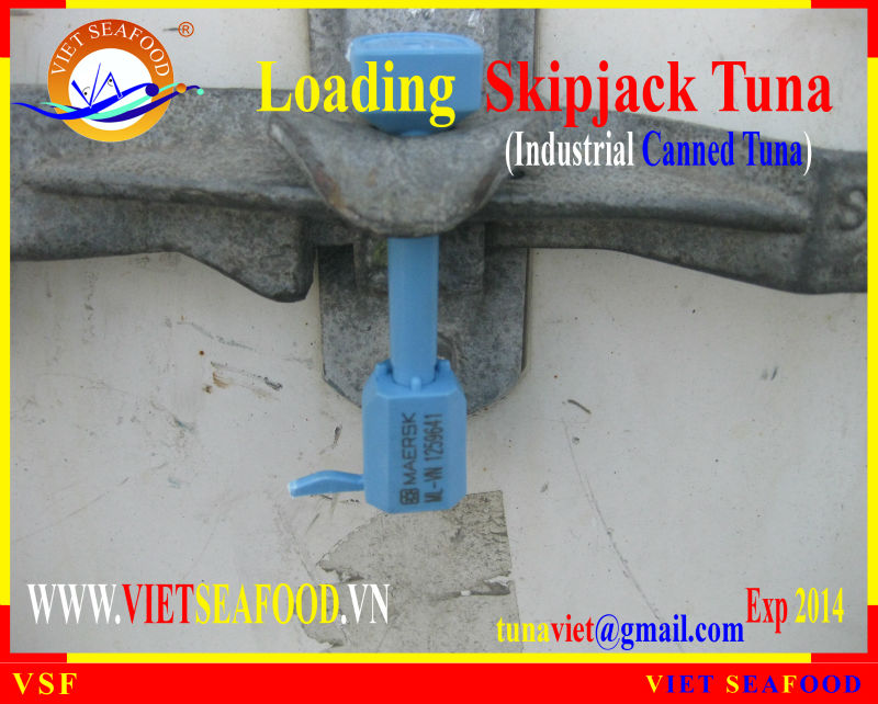 LOADING FROZEN SKIPJACK TUNA W/R