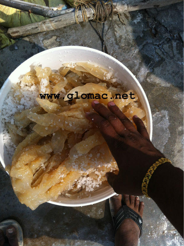 Salted Jellyfish Buy Dried Jellyfish,Jellyfish For Sell Product on